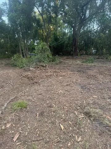 a view of outdoor space and yard