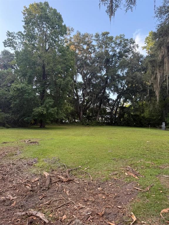 0 Northeast Katrina Glen Lake City, FL 32055 - Photo 17 of 23