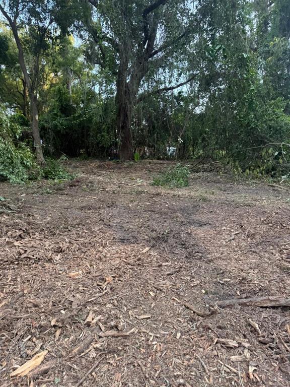 0 Northeast Katrina Glen Lake City, FL 32055 - Photo 18 of 23 a view of outdoor space and yard