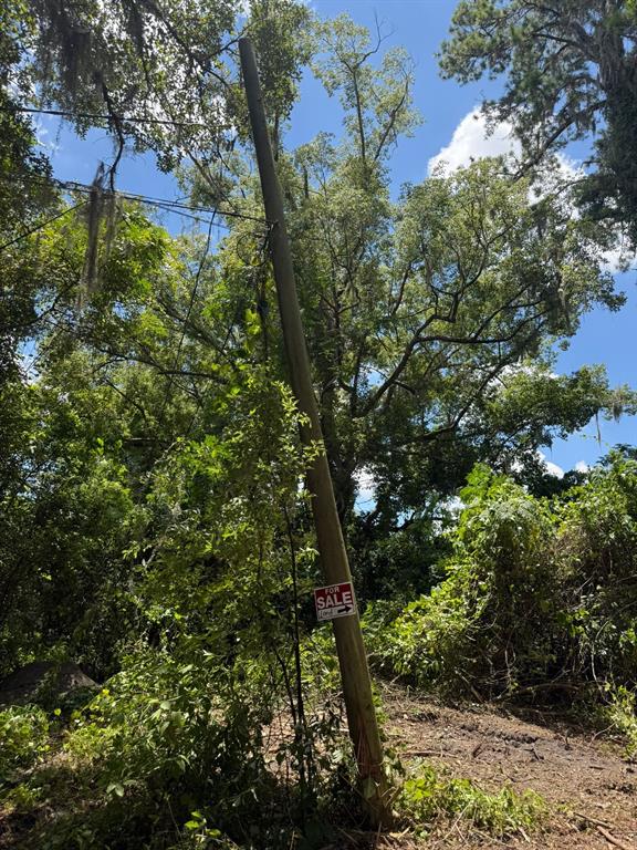 0 Northeast Katrina Glen Lake City, FL 32055 - Photo 19 of 23 a view of a tree