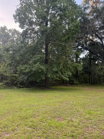 a view of a field with trees