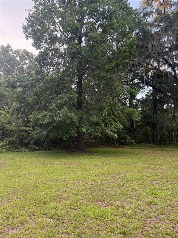 0 Northeast Katrina Glen Lake City, FL 32055 - Photo 20 of 23 a view of a ocean view