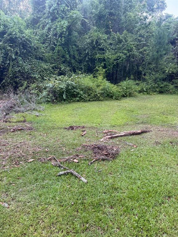 0 Northeast Katrina Glen Lake City, FL 32055 - Photo 21 of 23 a view of outdoor space and yard