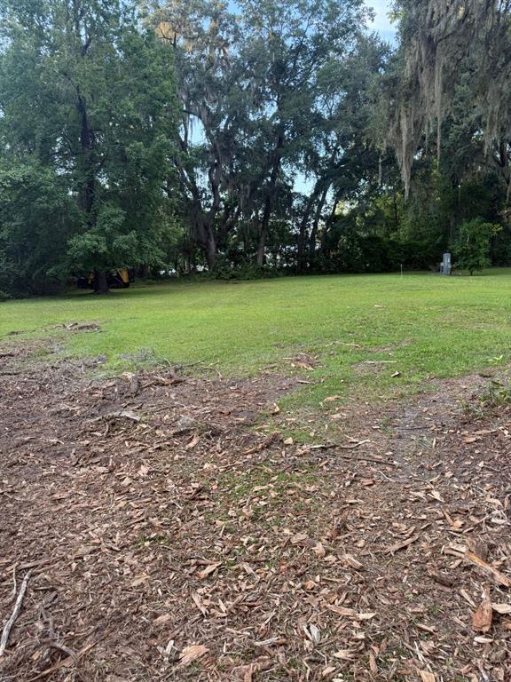 0 Northeast Katrina Glen Lake City, FL 32055 - Photo 22 of 23 a view of a field with trees
