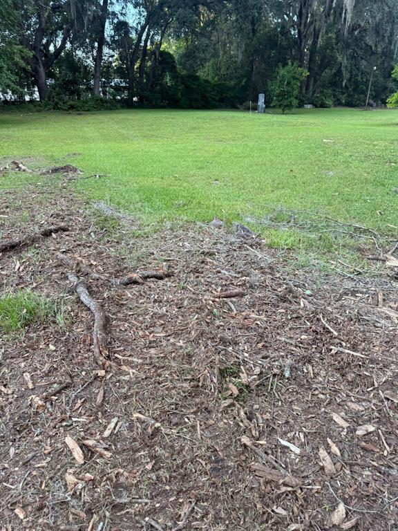 0 Northeast Katrina Glen Lake City, FL 32055 - Photo 23 of 23 a view of a field of grass and trees