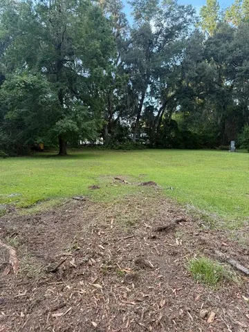 a view of a field with trees