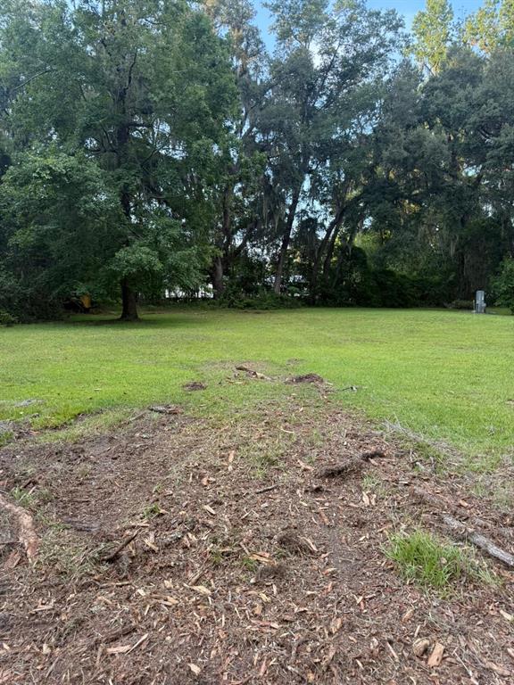 0 Northeast Katrina Glen Lake City, FL 32055 - Photo 3 of 23 a view of a field with trees