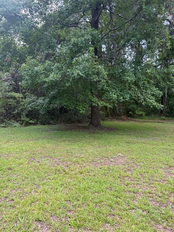 0 Northeast Katrina Glen Lake City, FL 32055 - Photo 5 of 23 a view of a lake view