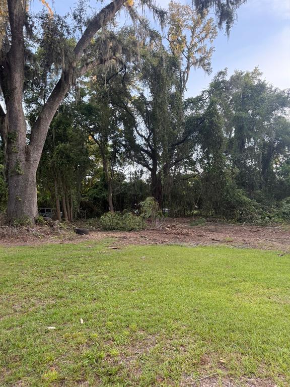 0 Northeast Katrina Glen Lake City, FL 32055 - Photo 6 of 23 a view of a swimming pool with a yard