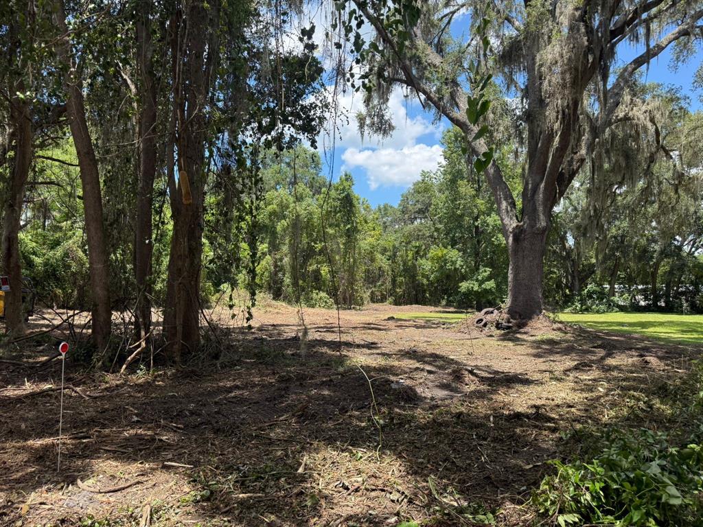 0 Northeast Katrina Glen Lake City, FL 32055 - Photo 7 of 23 a view of a yard with plants and trees