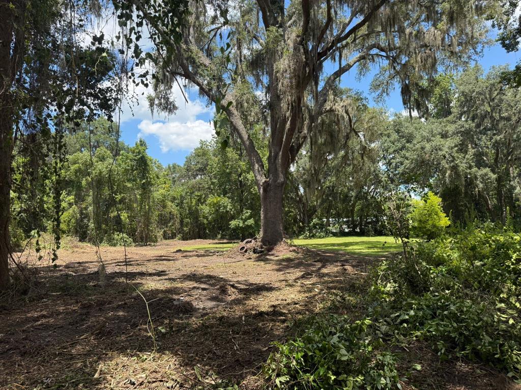 0 Northeast Katrina Glen Lake City, FL 32055 - Photo 8 of 23 a view of outdoor space with trees all around