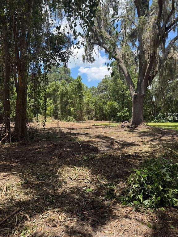 0 Northeast Katrina Glen Lake City, FL 32055 - Photo 9 of 23 a view of dirt field with trees