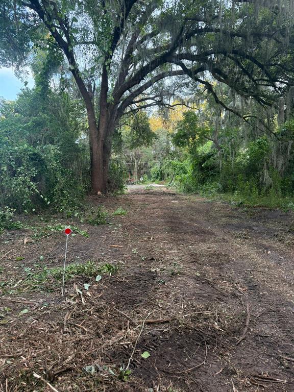 0 Northeast Katrina Glen Lake City, FL 32055 - Photo 10 of 23 a view of a yard with a tree