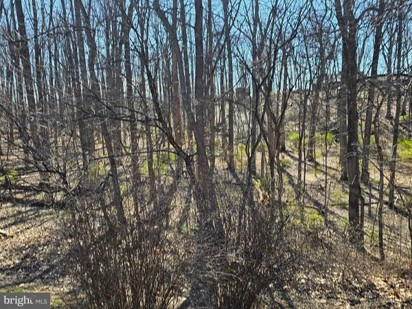 $795,000 | 274 Woodside Lane, Winchester, VA 22603