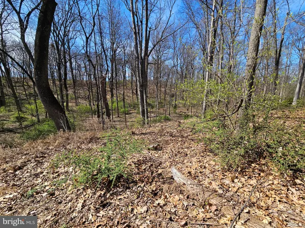 $795,000 | 274 Woodside Lane, Winchester, VA 22603