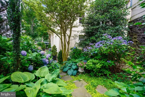 a bunch of flowers and trees in a garden