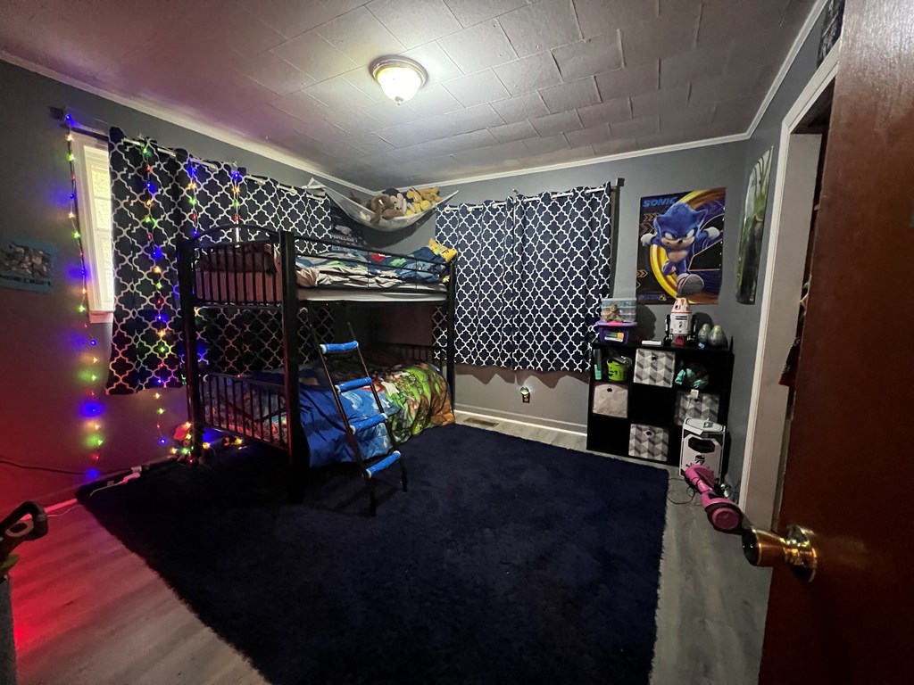 235 Cochran Road Chatsworth, GA 30705 - Photo 8 of 16 Gallery Image 8