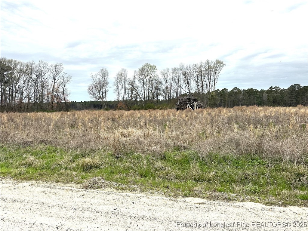 1 Costner Road Lumber Bridge, NC 28357 - Photo 2 of 3 a view of a lake with a city