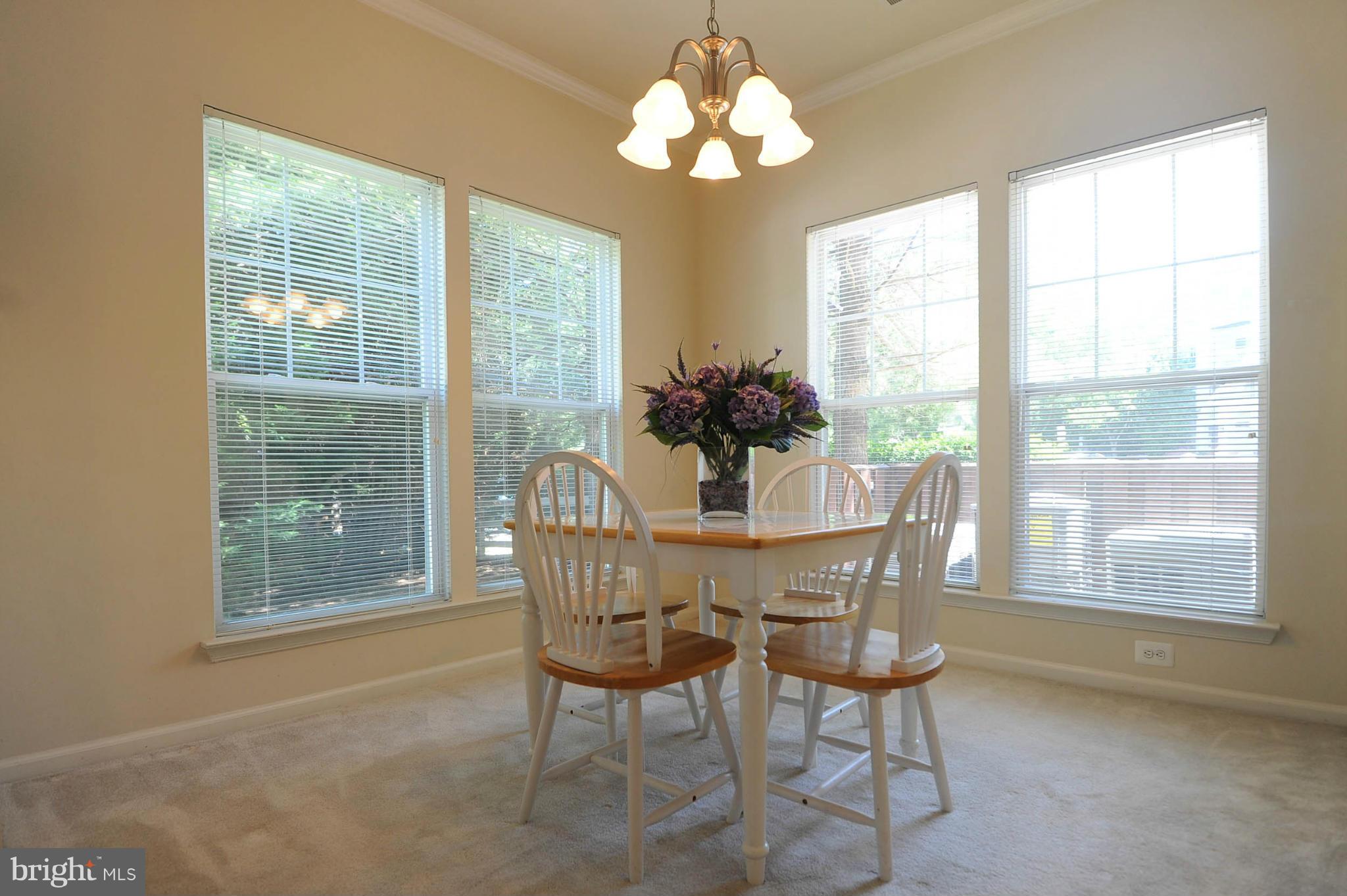 1515 North Point Drive, Unit 102 Reston, VA 20194 - Photo 9 of 28 Dining Room 1