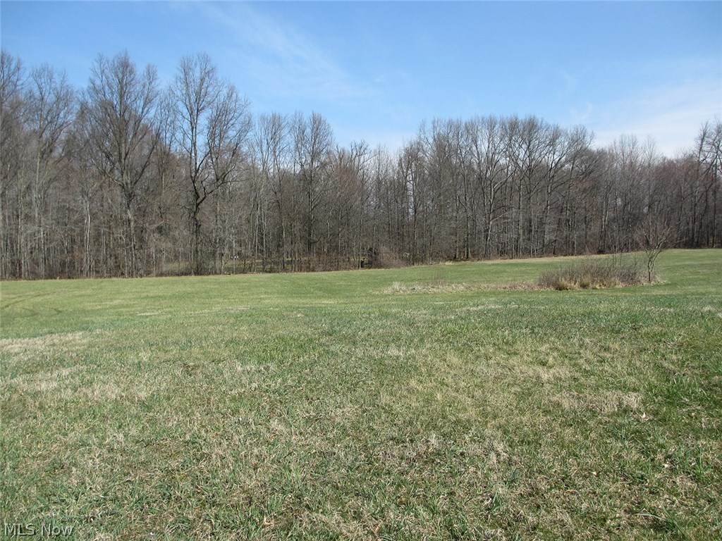 357 Manning Road Mogadore, OH 44260 - Photo 9 of 11