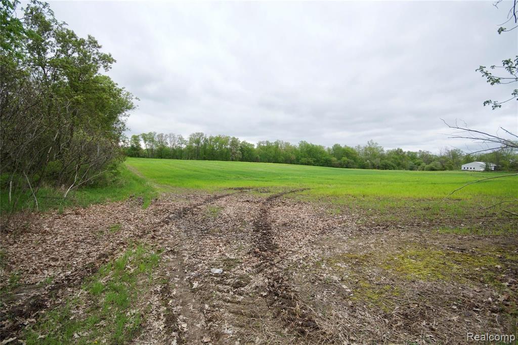 0 Iosco Road Webberville, MI 48836 - Photo 1 of 9