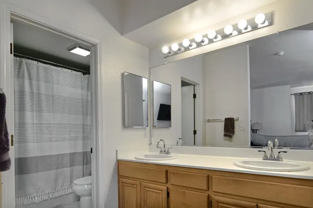 a bathroom with a sink a toilet and a large mirror