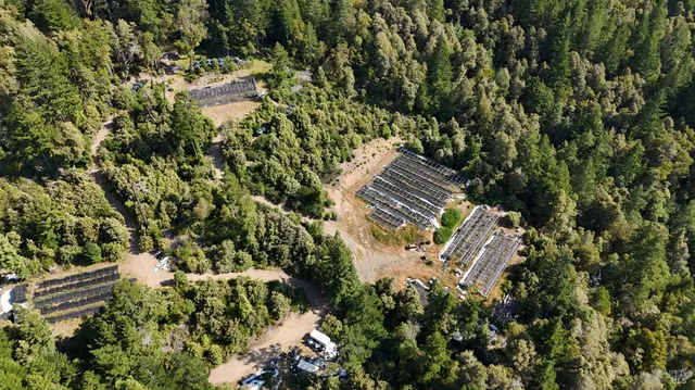 a view of a house with a tree park
