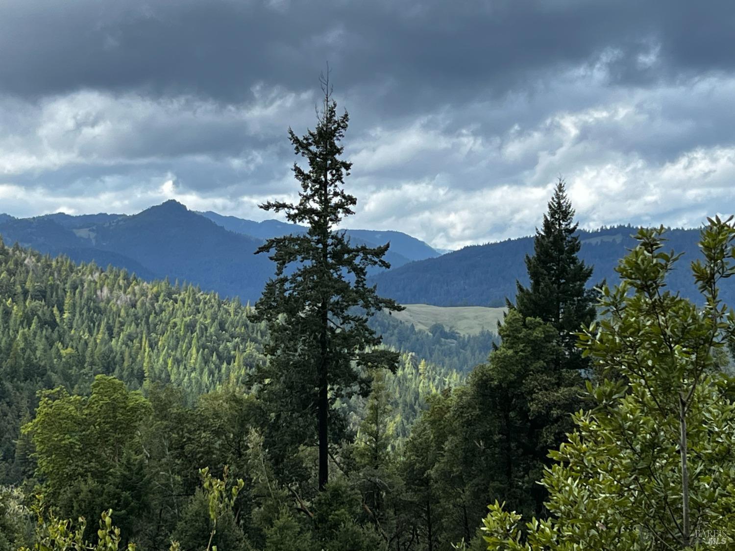 2520 French Road Phillipsville, CA 95559 - Photo 12 of 19 a view of a city