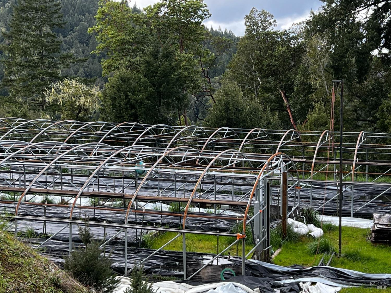 2520 French Road Phillipsville, CA 95559 - Photo 13 of 19 a view of a swimming pool with a patio