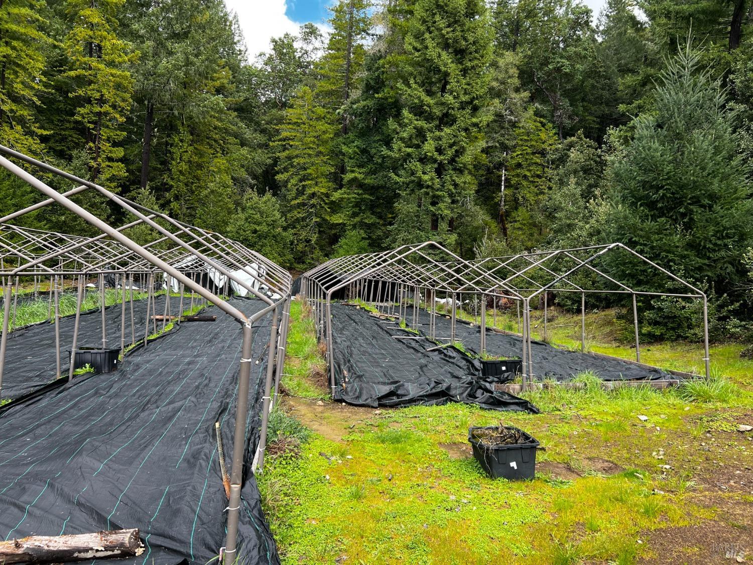 2520 French Road Phillipsville, CA 95559 - Photo 16 of 19 a view of a swimming pool with two chairs