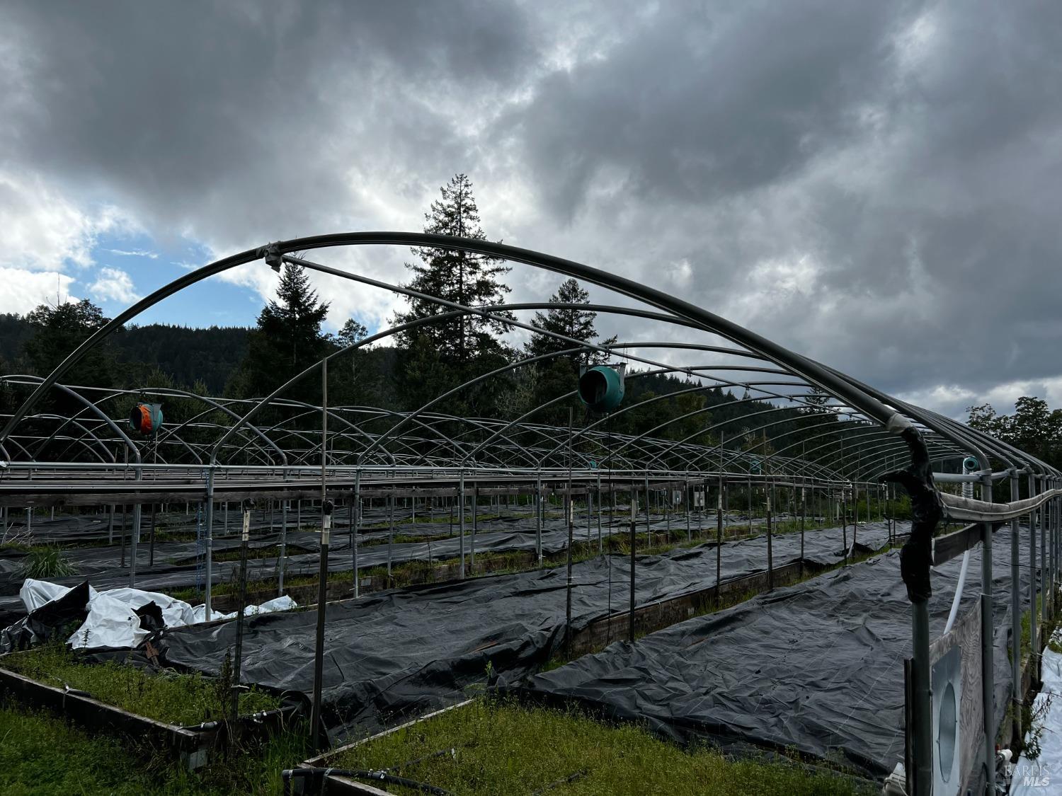 2520 French Road Phillipsville, CA 95559 - Photo 9 of 19 a view of entryway