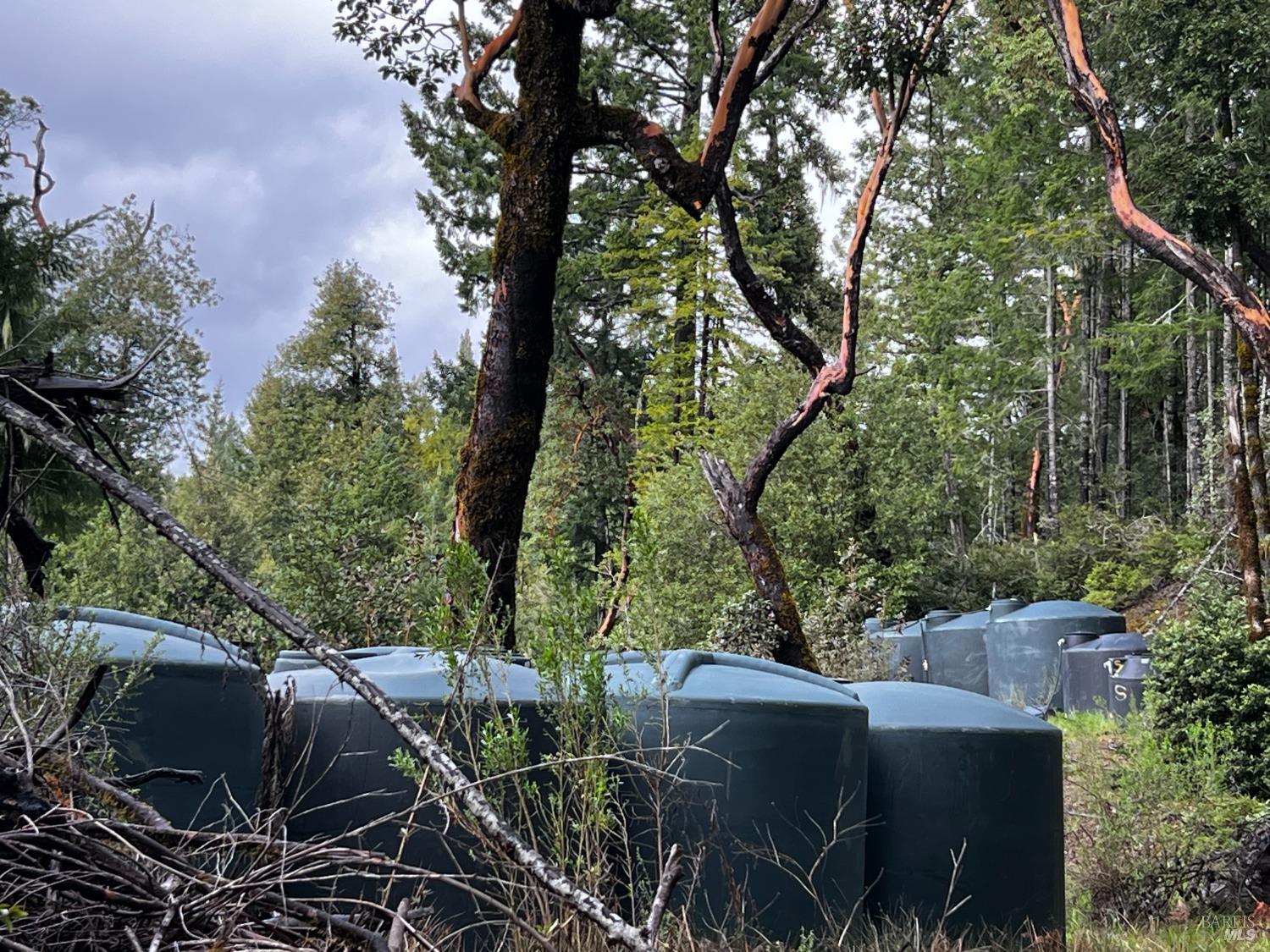 2520 French Road Phillipsville, CA 95559 - Photo 10 of 19 a view of backyard with outdoor seating and green space