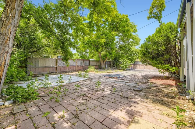 a view of a yard with plants and trees