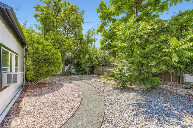 a view of a backyard with plants and large trees