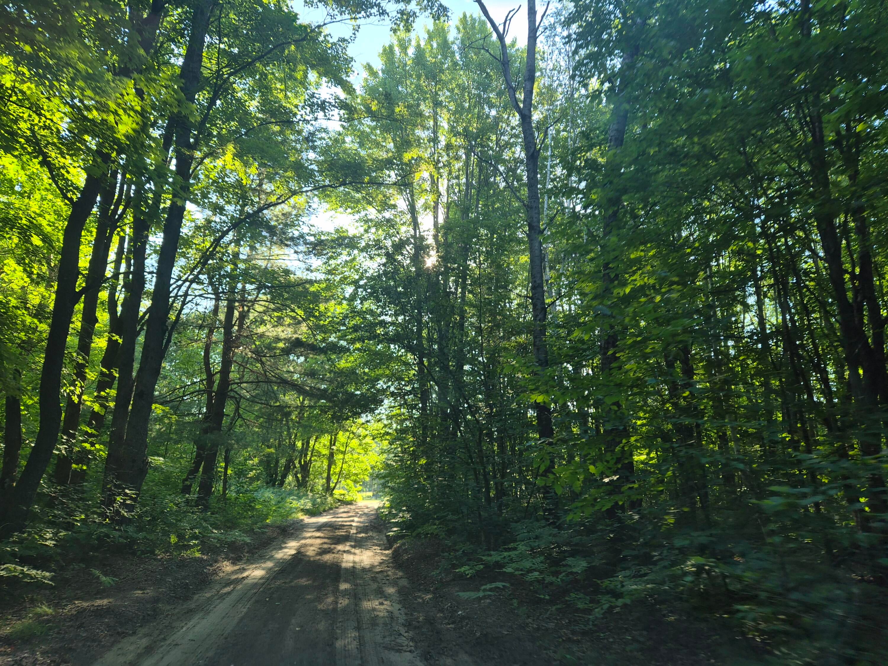 10870 Sutters Mill Road Frederic, MI 49733 - Photo 85 of 88 Gallery Image 85