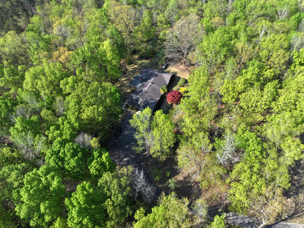 233 Ga Highway Fortson, GA 31808 - Photo 2 of 65 Aerial View