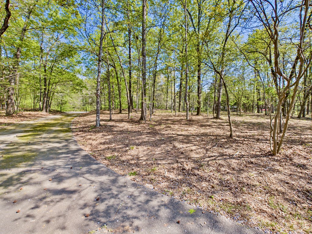 233 Ga Highway Fortson, GA 31808 - Photo 3 of 65 Front Yard Circular Drive