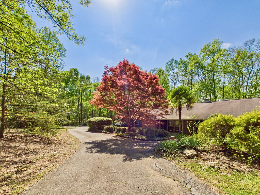 233 Ga Highway Fortson, GA 31808 - Photo 4 of 65 Drive in Front