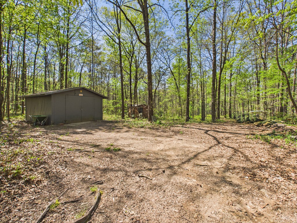 233 Ga Highway Fortson, GA 31808 - Photo 52 of 65 14x20 Workshop