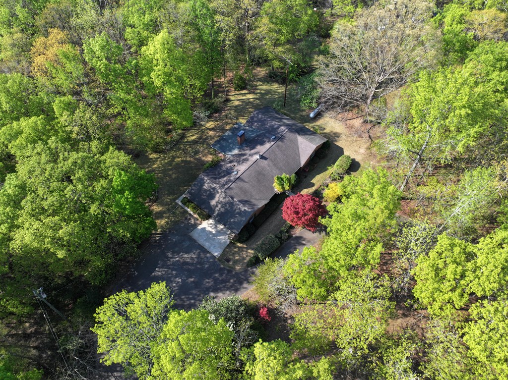 233 Ga Highway Fortson, GA 31808 - Photo 58 of 65 Aerial