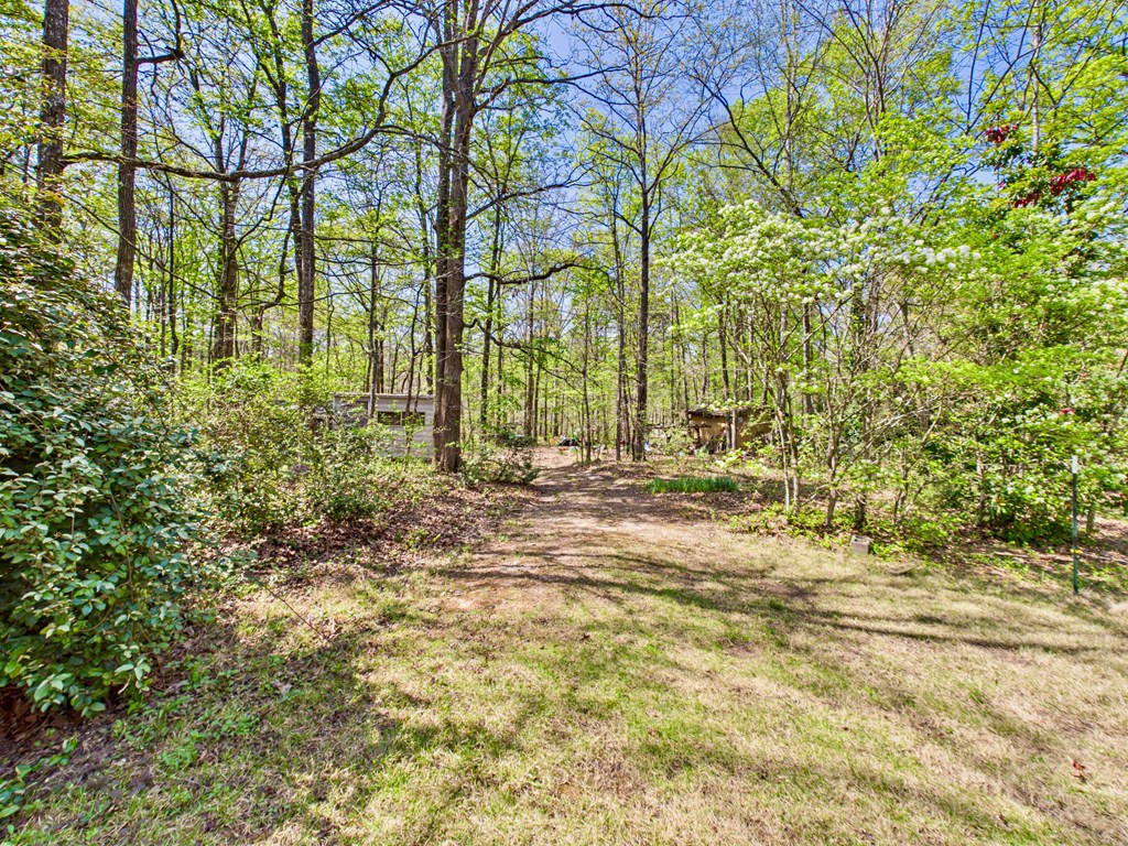 233 Ga Highway Fortson, GA 31808 - Photo 60 of 74 Back Acreage