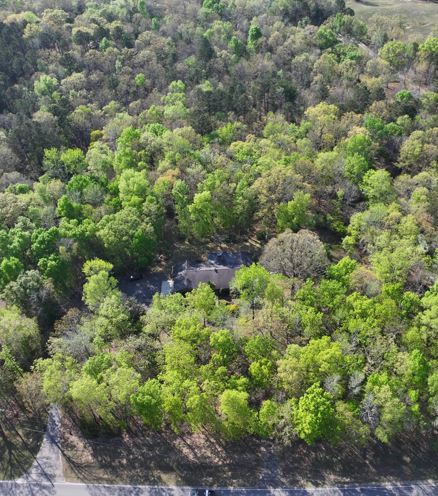233 Ga Highway Fortson, GA 31808 - Photo 63 of 65 Aerial from Road