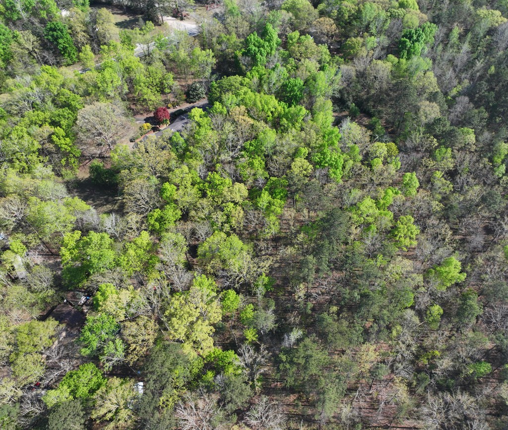 233 Ga Highway Fortson, GA 31808 - Photo 65 of 74 Aerial