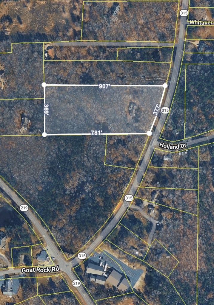 233 Ga Highway Fortson, GA 31808 - Photo 73 of 74 Plat