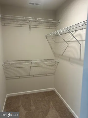 a bathroom with a shower and a toilet