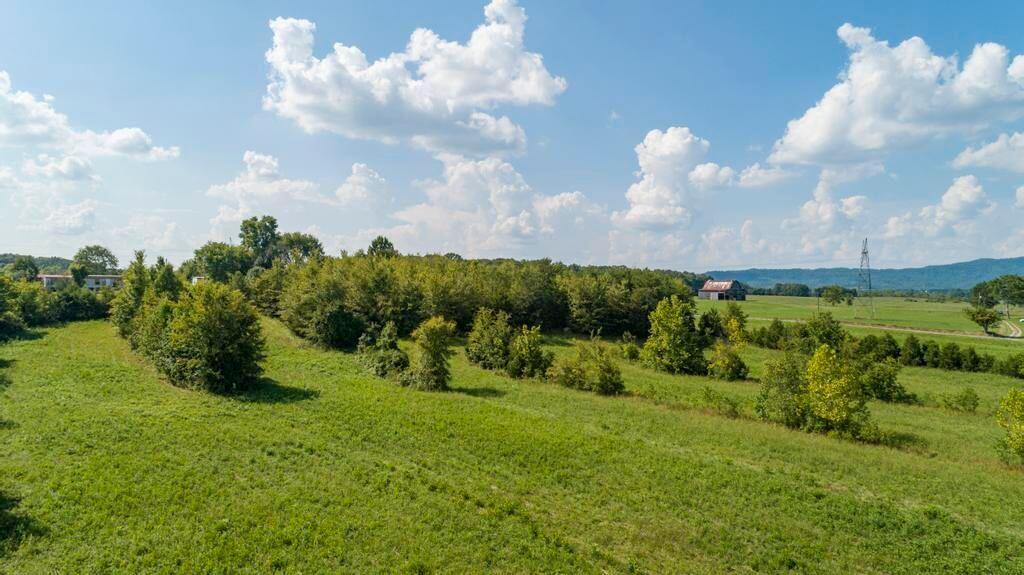2154 Carters Valley Road Greeneville, TN 37745 - Photo 19 of 21 carters valley 20