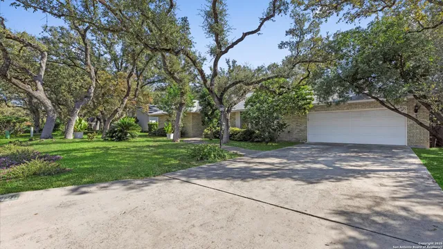 a view of a yard with plants and trees