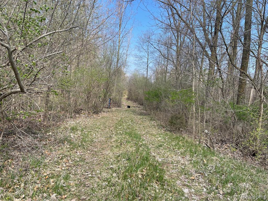 0 White Lake Road Flint, MI 48505 - Photo 1 of 12