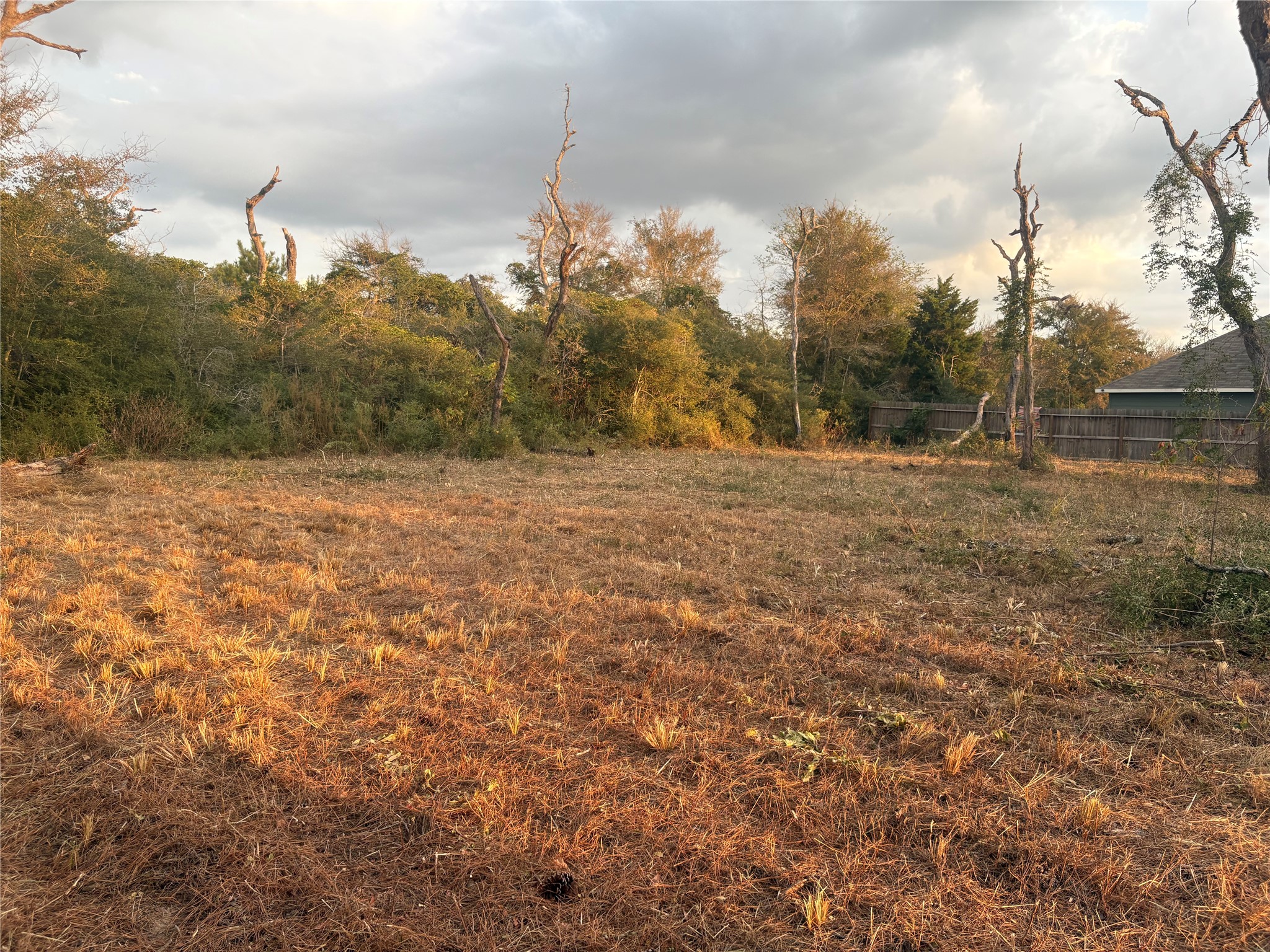 0 Park View Drive Hempstead, TX 77445 - Photo 10 of 26
