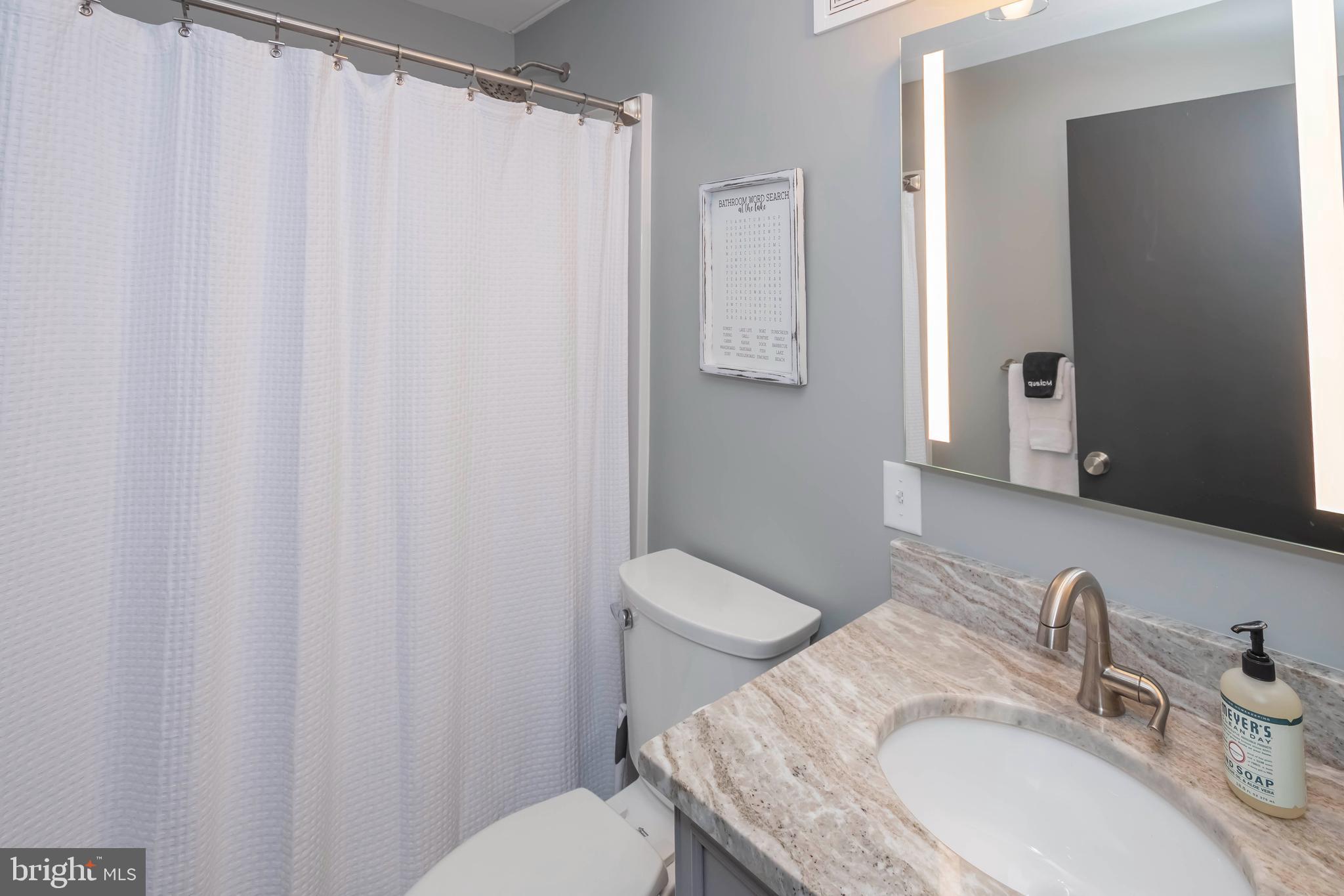 189 Red Run Road, Unit 1C2 Oakland, MD 21550 - Photo 16 of 50 a bathroom with a granite countertop sink toilet and a mirror
